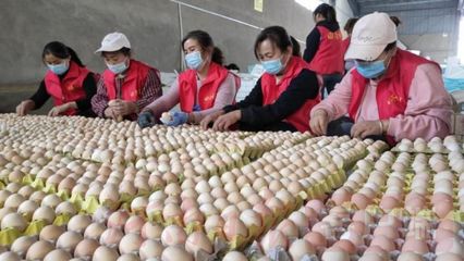 搭乘'電商號'，尉氏農副產品駛向鄉村振興'站臺'