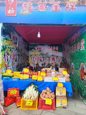 地道“沙橋味道”飄香展銷會(huì) 農(nóng)特產(chǎn)品推介助力鄉(xiāng)村振興